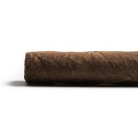 Casa Turrent 1901 Robusto Maduro Cigar - 1 Single